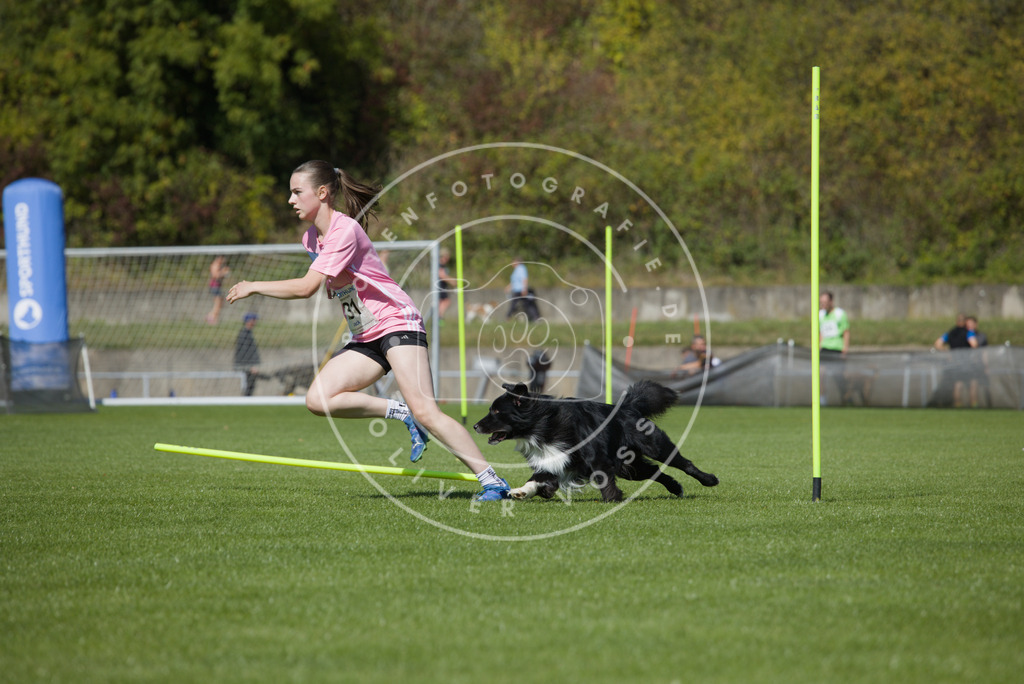 0L8A6066 | Hundefotografie, Tierfotograf, Pfotenfotografie, Fotoshooting Hund, Hunde Portrait, Hundesport, Hundeportraits, Heideshooting, Hunde, Sportfotograf, Hundefotograf, Turnierhundsport, THS,  - Realisiert mit Pictrs.com