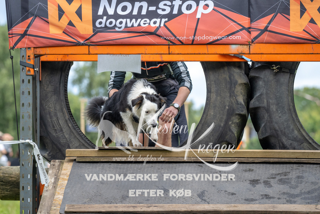 1233_ZZ93987 | kk-dogfotos