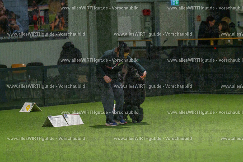 7R508852 | Professionelle Tierfotografie in Mönchengladbach von Daniel Wirth (allesWIRTHgut). Liebevolle & natürliche Bilder von Hunden & Katzen für unvergessliche Erinnerungen.