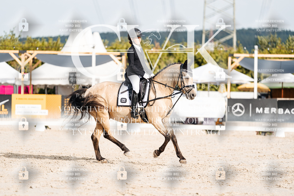 CK904220 | Turnierfotografie Pferdefotografie Trier Rheinland-Pfalz Pferdesport Reitsport Tierfotografie Sportfotografie Pferdevideo Pferdevideografie Equestrianvideography equestrianphotography  - Realisiert mit Pictrs.com
