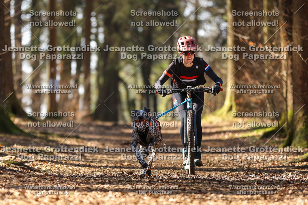 Dog Paparazzi - VCC26-1234 | Dog Paparazzi Jeanette Grottendiek Fotografie & Videografie - Realisiert mit Pictrs.com