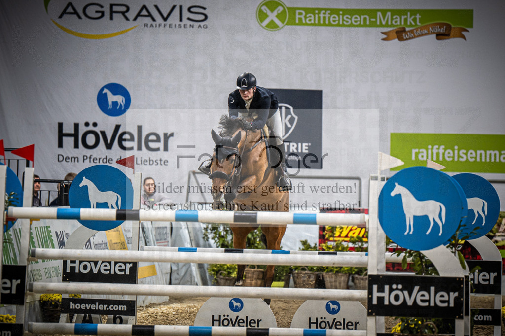 DOS_3391 | Entdecke hochwertige Reitturnierfotos von Foto Oger. Professionell, emotional und authentisch – jetzt Lieblingsmomente im Shop bestellen.Deutschlandweite Turnierfotografie. - Realisiert mit Pictrs.com