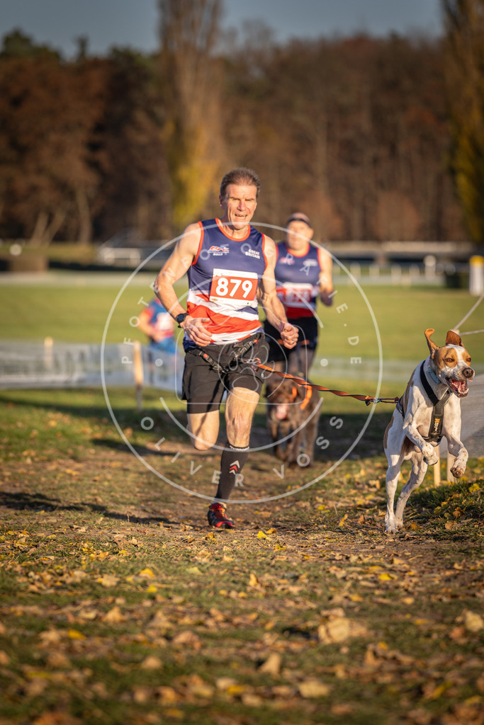 CaniXpix_DV3A4288 | Hundefotografie, Tierfotograf, Pfotenfotografie, Fotoshooting Hund, Hunde Portrait, Hundesport, Hundeportraits, Heideshooting, Hunde, Sportfotograf, Hundefotograf, Turnierhundsport, THS,  - Realisiert mit Pictrs.com
