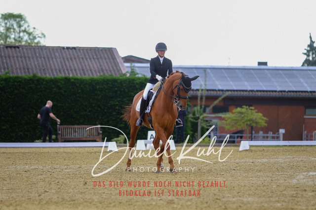 DKP40597 | Turniersportfotografie; Pferdefotografie; Dressurfotografie