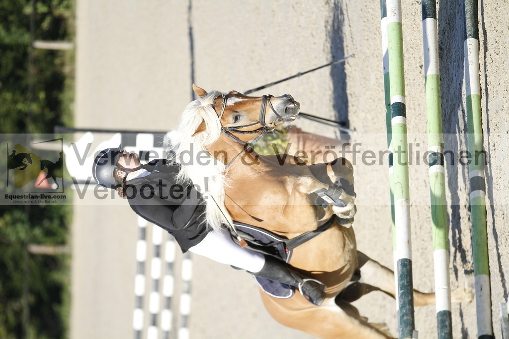 _MG_0762 | equestrian-live-com