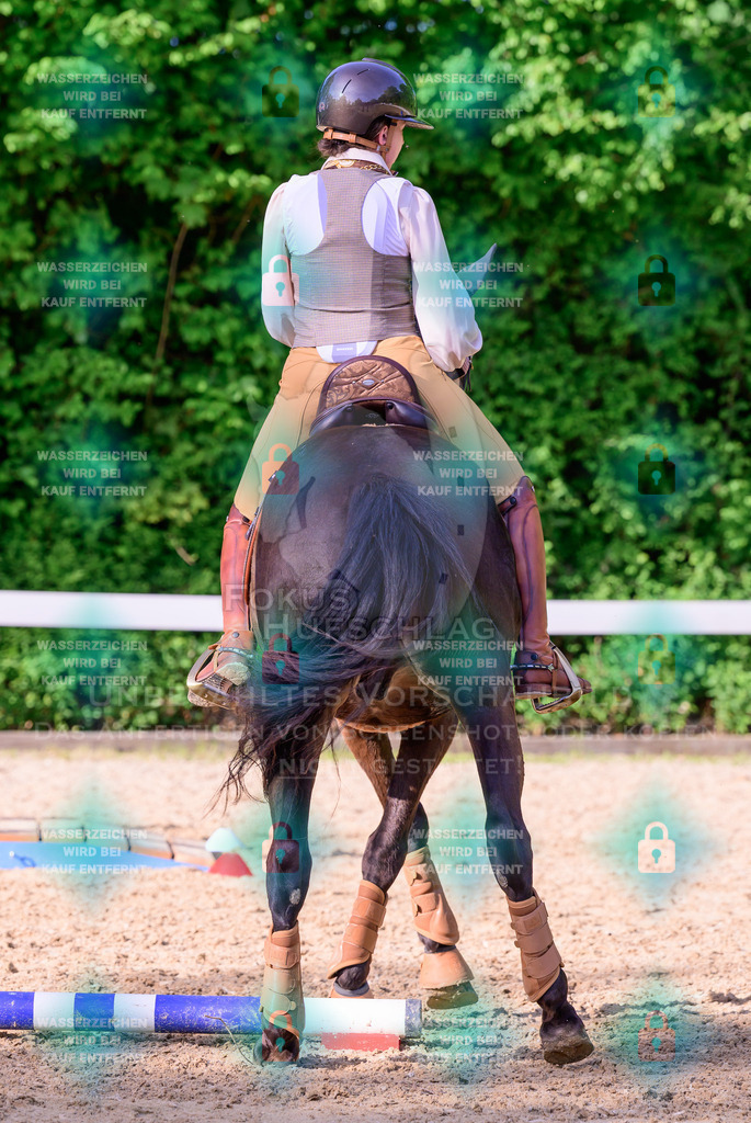 02052026-Giesenbach-03-Speedtrail-0162 | Fokus Hufschlag Fotografie - Realisiert mit Pictrs.com