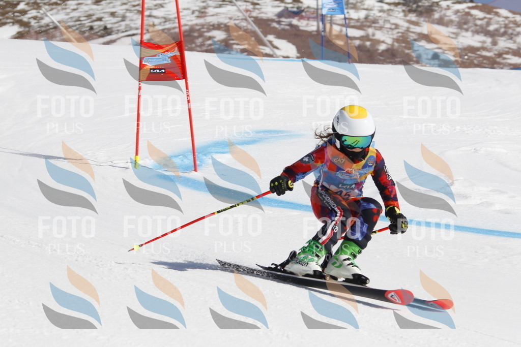 _U3G9317 | holidayphoto