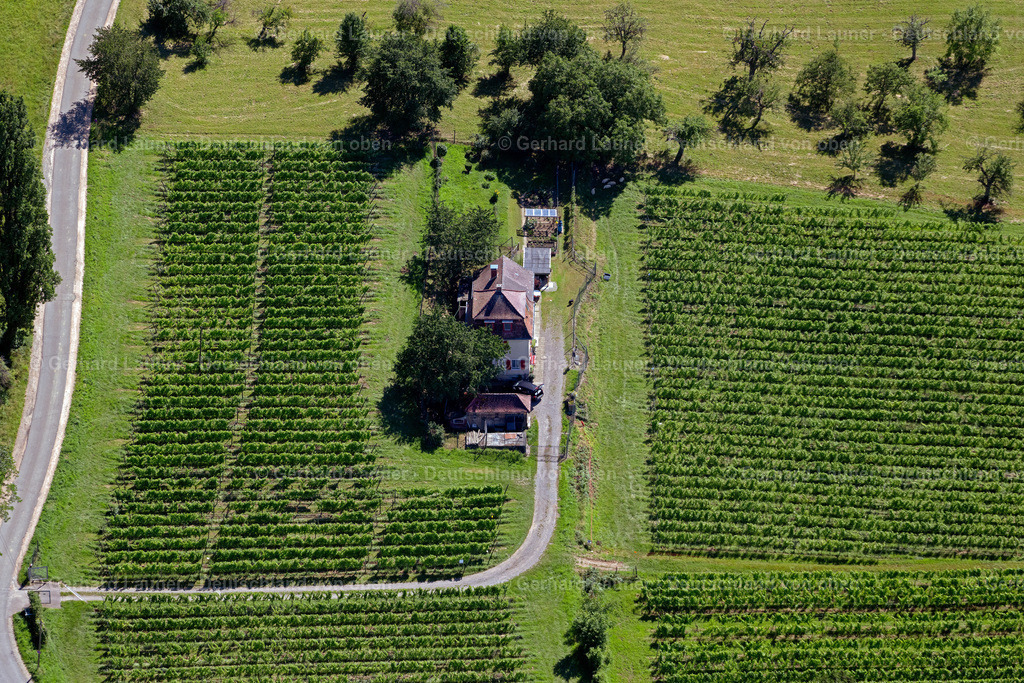 4033666 | MERZHAUSEN 30.06.2020 Dorfkern am Rande von Weinbergen und Winzer- Gütern im Weinbaugebiet an der Straße Schloßweg in Merzhausen im Bundesland Baden-Württemberg, Deutschland. // Village on the edge of vineyards and wineries in the wine-growing area on street Schlossweg in Merzhausen in the state Baden-Wuerttemberg, Germany. Foto: Gerhard Launer