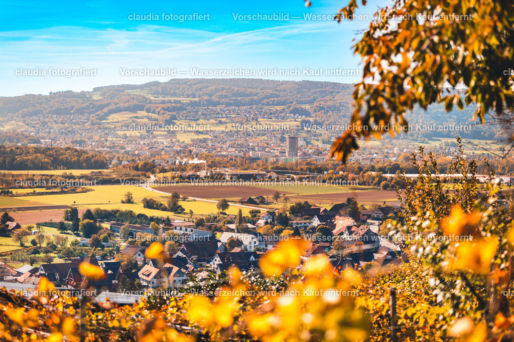 17_20221017_Rebberg_Weiningen__CMI9424.jpg_cmi | 15.10.2022: Inland; Weiningen;
Sicht über das Limmattal aus Rebbergen in Weiningen, Zuerich
(Claudia Minder/claudia-fotografiert)