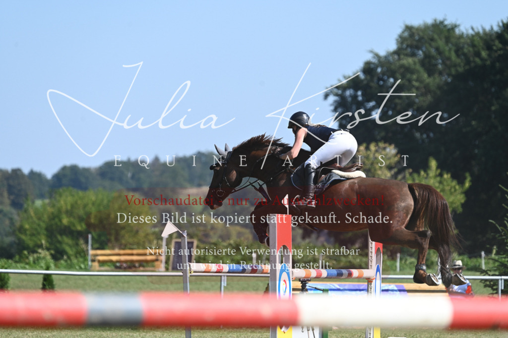 DSC_6471 | Pferde- und Turnierfotografie in Westsachsen. Pferdeportraits, Auftragszeichnungen und intuitive Kunst.