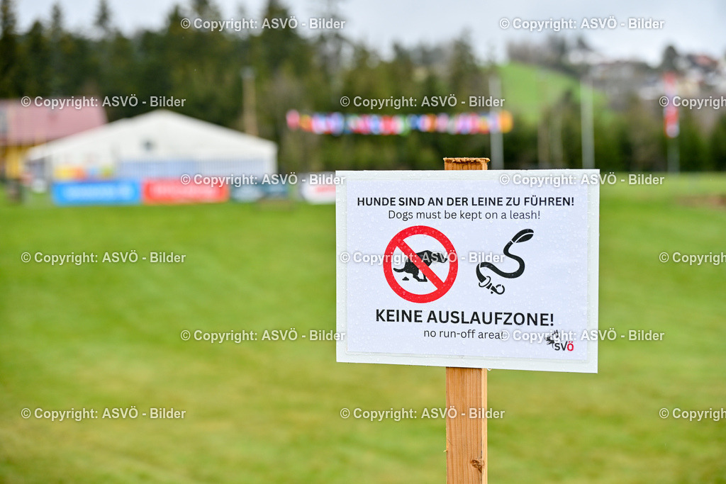 ASVÖ_ Tracking Dog World Championship 2025_ 31.03.2025-6 | 31.03.2025, AUT, ASVÖ, Tracking Dog World Championship // FCI IGP Fährtenhundeweltmeisterschaft 2025©fodo.media / Harald Dostal - Realisiert mit Pictrs.com