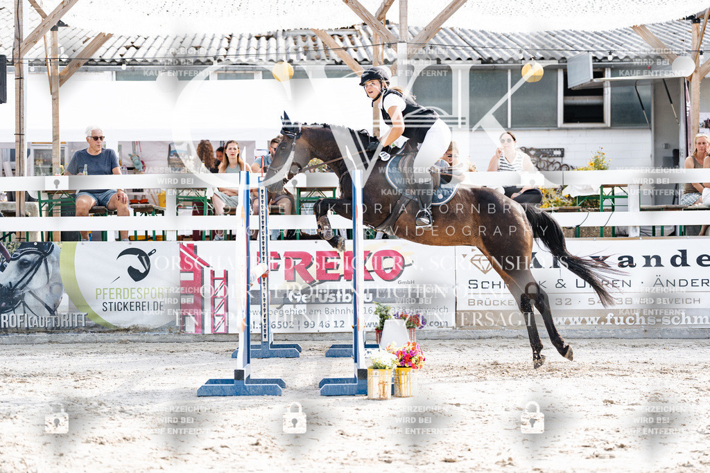 CK905747 | Turnierfotografie Pferdefotografie Trier Rheinland-Pfalz Pferdesport Reitsport Tierfotografie Sportfotografie Pferdevideo Pferdevideografie Equestrianvideography equestrianphotography  - Realisiert mit Pictrs.com