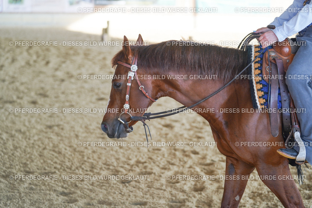 DSC09812 | Pferdegrafie