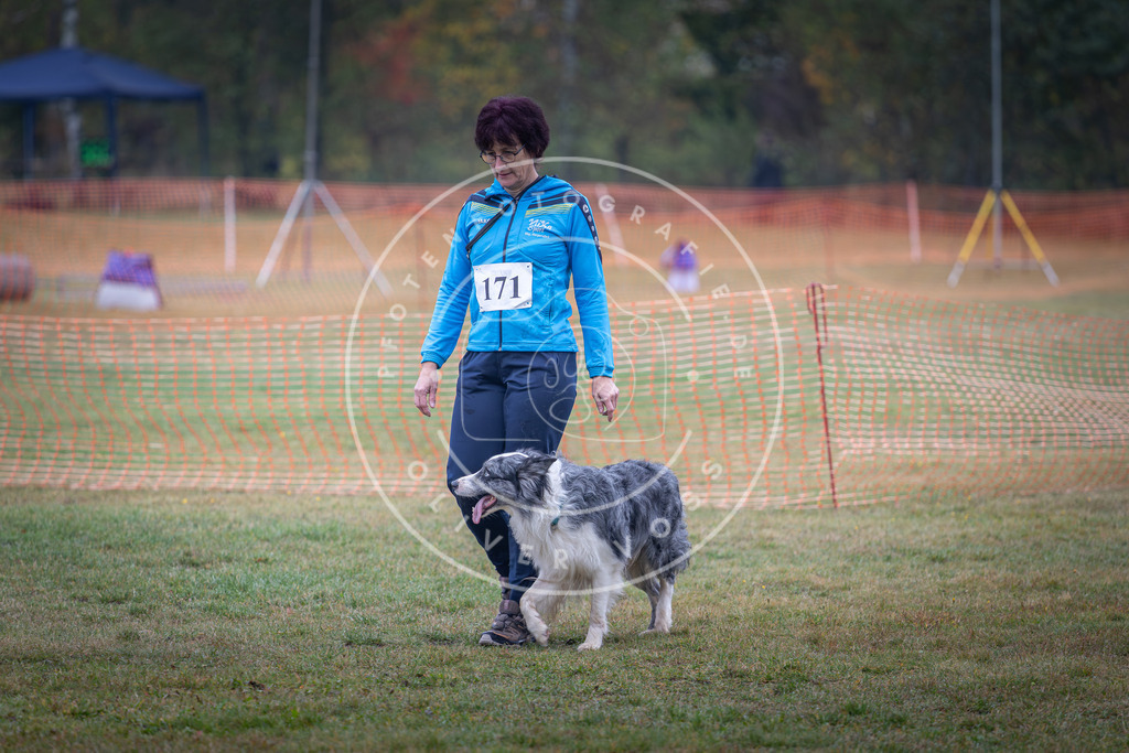 Pfotenfotografie_DV3A9150 | Hundefotografie, Tierfotograf, Pfotenfotografie, Fotoshooting Hund, Hunde Portrait, Hundesport, Hundeportraits, Heideshooting, Hunde, Sportfotograf, Hundefotograf, Turnierhundsport, THS,  - Realisiert mit Pictrs.com