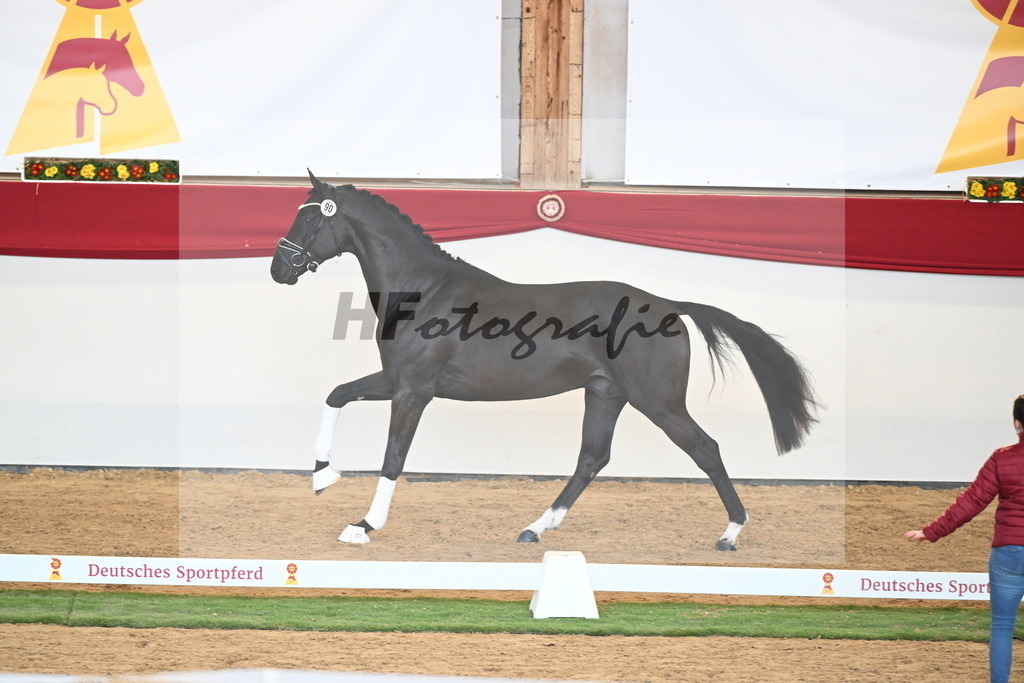 Kat.-Nr. 90 v. Vivaldos_Sosath_2250929 | hf-fotografie - Realizzato con Pictrs.com