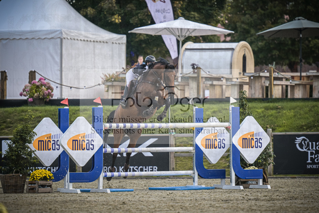 DOS_3545 | Entdecke hochwertige Reitturnierfotos von Foto Oger. Professionell, emotional und authentisch – jetzt Lieblingsmomente im Shop bestellen.Deutschlandweite Turnierfotografie. - Realisiert mit Pictrs.com