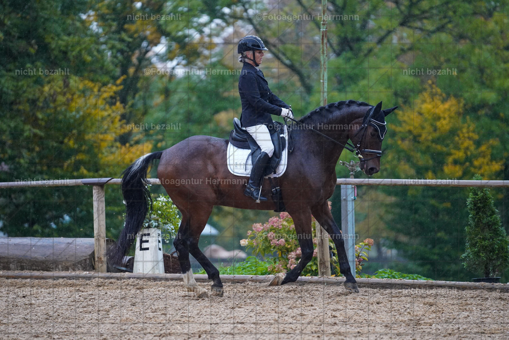 20221008-FAH02094 | Diessen am Ammersee, 2022, Dressur- und Springturnier, Reitsportbilder, Turnierfotografen Bayern, Pferdefotografen, Fotoagentur Herrmann, Turnierbilder