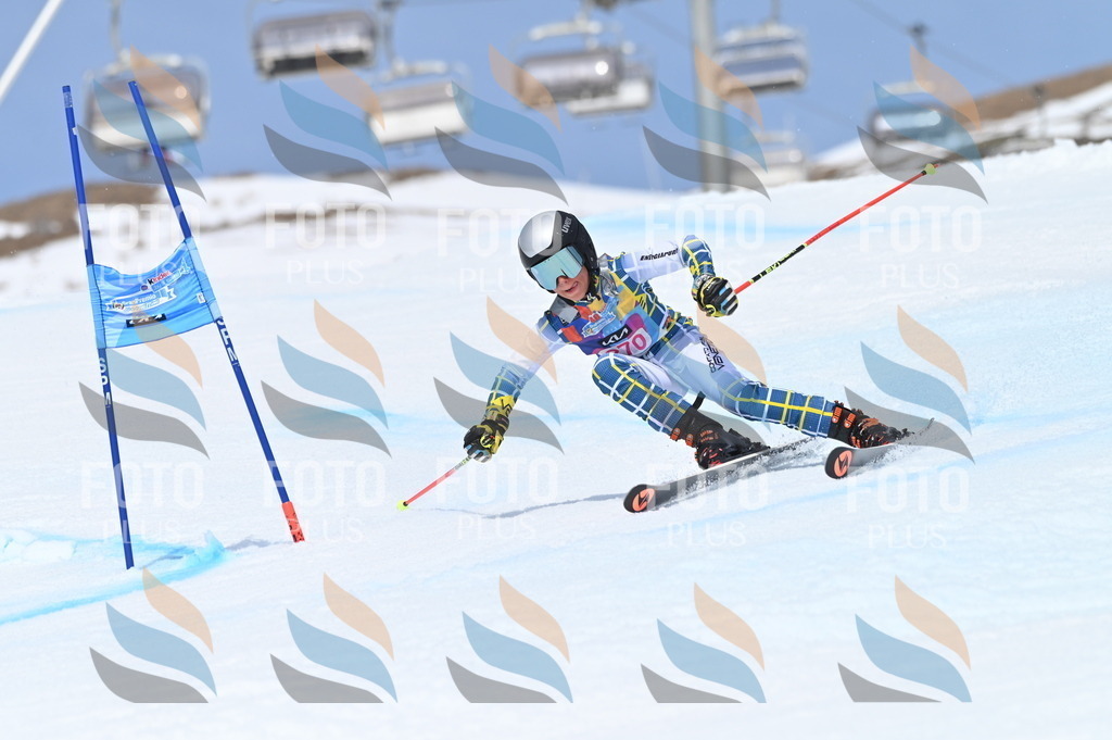 BGV_2256 | holidayphoto