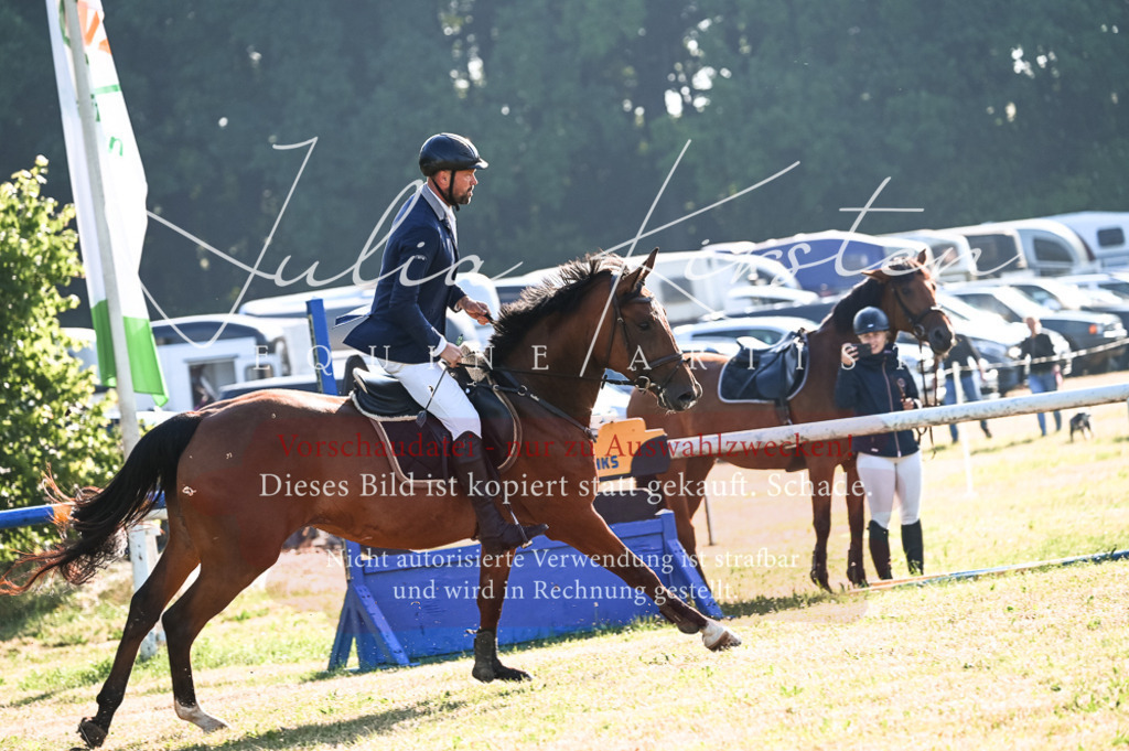 DSC_7419 | Pferde- und Turnierfotografie in Westsachsen. Pferdeportraits, Auftragszeichnungen und intuitive Kunst.