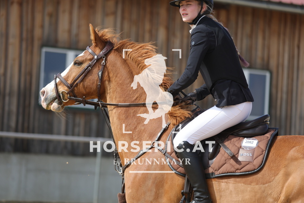0P6A9598 | Willkommen bei Brunnmayr - Design & Fotografie – Ihrem Spezialisten für Reitturniere und Pferdeveranstaltungen in Oberösterreich, Salzburg und Bayern! Seit über 17 Jahren sind wir leidenschaftlich dabei.