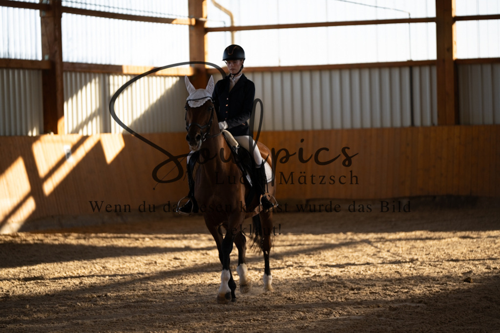 A7V01598 | Turnier/Reitfotograf