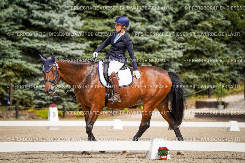 DSC05263 | Pferdegrafie