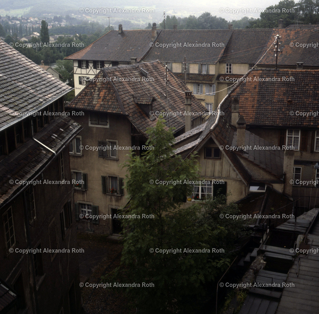 Aarau_793 | onlineshop - Realisiert mit Pictrs.com