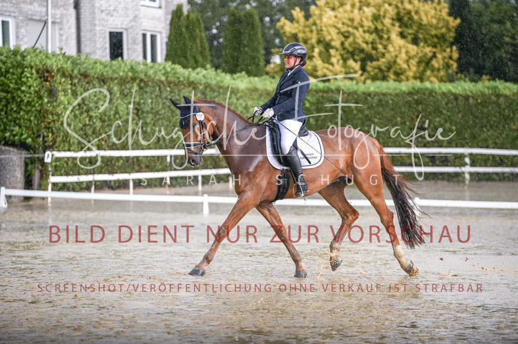 Schugtsche-Aluta25-54.Dressurprf.L1Trense-61 | Schugtsche Fotografie - Realisiert mit Pictrs.com