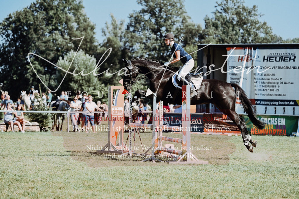 DSC_6627 | Pferde- und Turnierfotografie in Westsachsen. Pferdeportraits, Auftragszeichnungen und intuitive Kunst.
