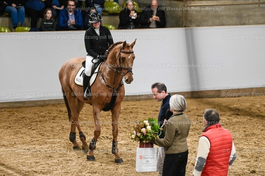 20260307_Hengstvorstellung-Marbach_0162 | equistock