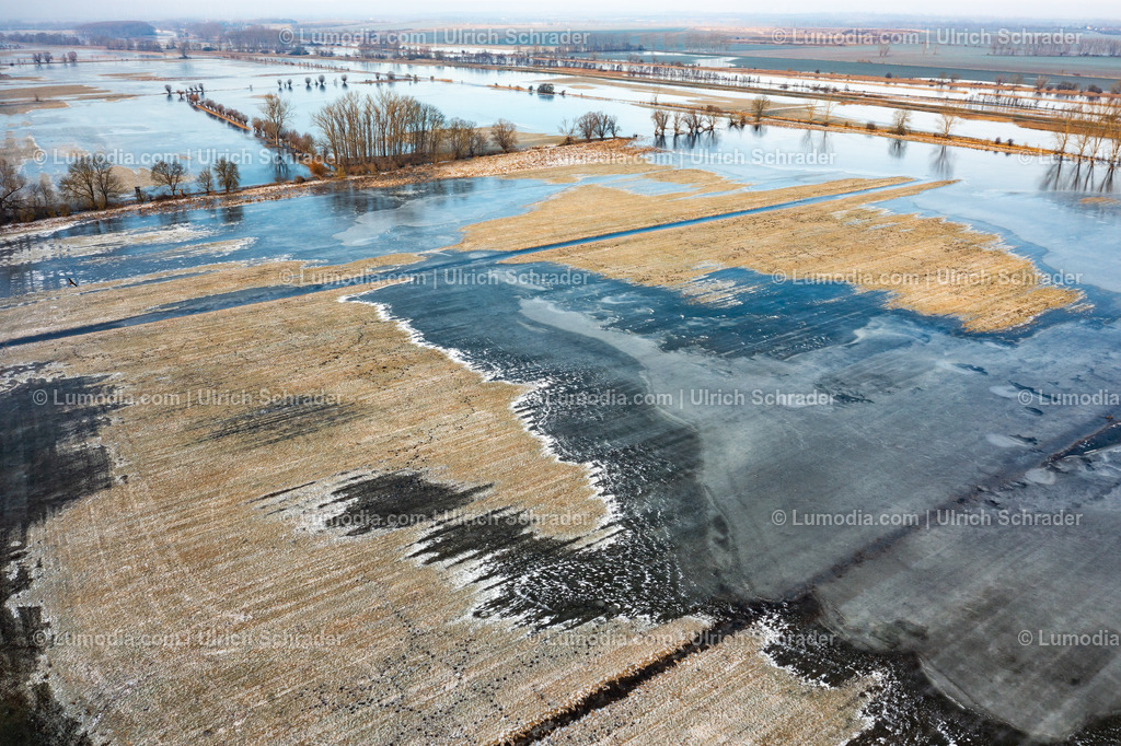 10049-51834 - Hochwasser im Großen Bruch | Stockfoto und Bilderpool mit Bildmaterial aus Deutschland, dem Harz, Halberstadt, Quedlinburg, Wernigerode und weltweit. Qualitativ hochwertige und professionelle Fotos anschauen und kaufen. - Realisiert mit Pictrs.com