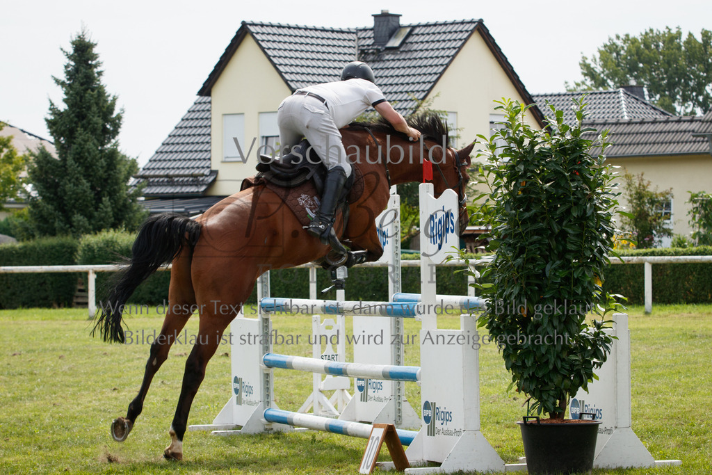 IMG_3311 | P. Berger Fotografie - Realisiert mit Pictrs.com