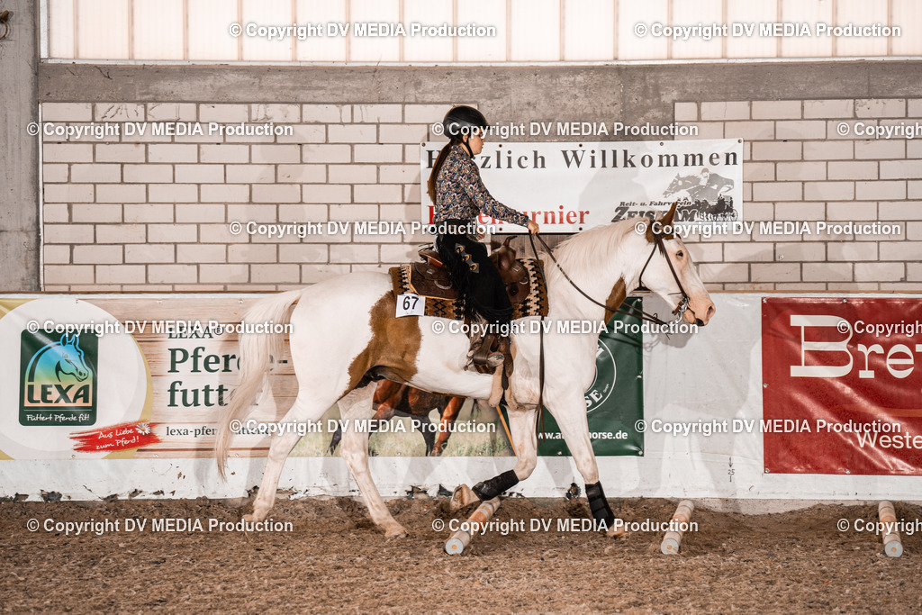 ZH200509 | dv-media-shop - Realisiert mit Pictrs.com