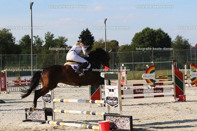 OHT 2022 Röhlingen (83) | Fotografie, Tiere, Hunde, Katzen, Pferde, Sportfotografie, Fotosession, Tierfotografie, Turnierfotografie, Fotografin, Fotograf - Realisiert mit Pictrs.com