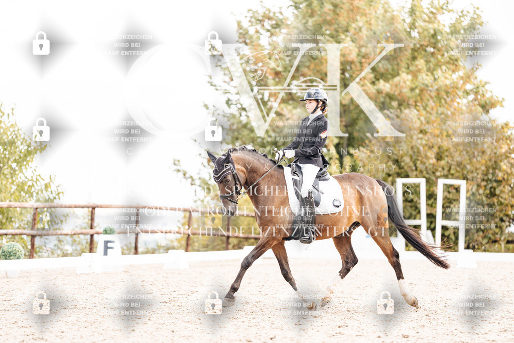 CK901630 | Turnierfotografie Pferdefotografie Trier Rheinland-Pfalz Pferdesport Reitsport Tierfotografie Sportfotografie Pferdevideo Pferdevideografie Equestrianvideography equestrianphotography  - Realisiert mit Pictrs.com
