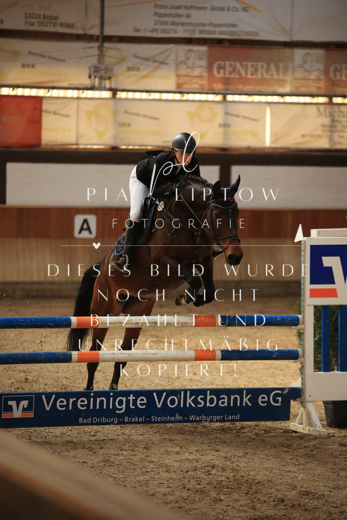 IMGT6322 | pl-fotografie