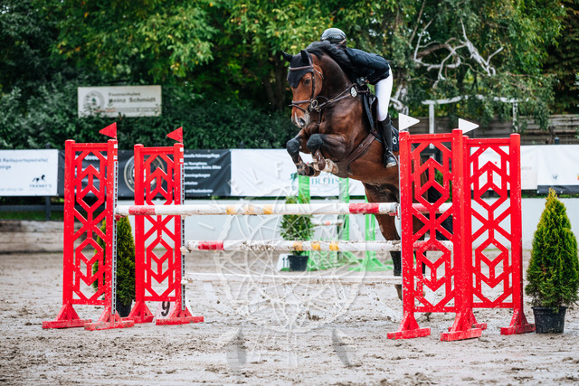 2B4A3502 | pixelfaenger - Realisiert mit Pictrs.com