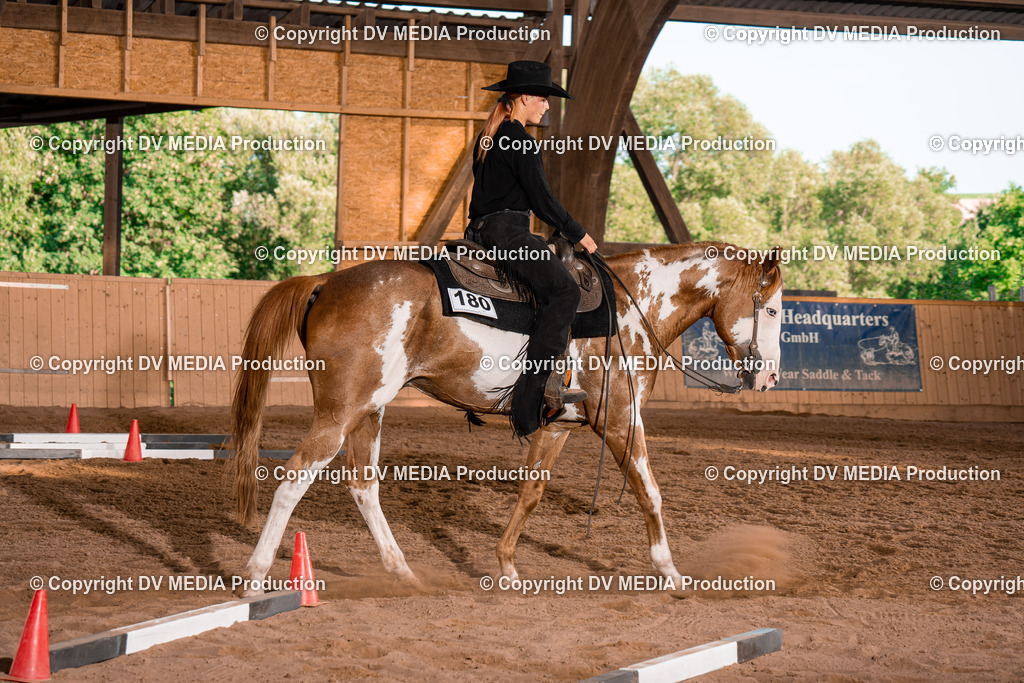 NE101254 | dv-media-shop - Realisiert mit Pictrs.com