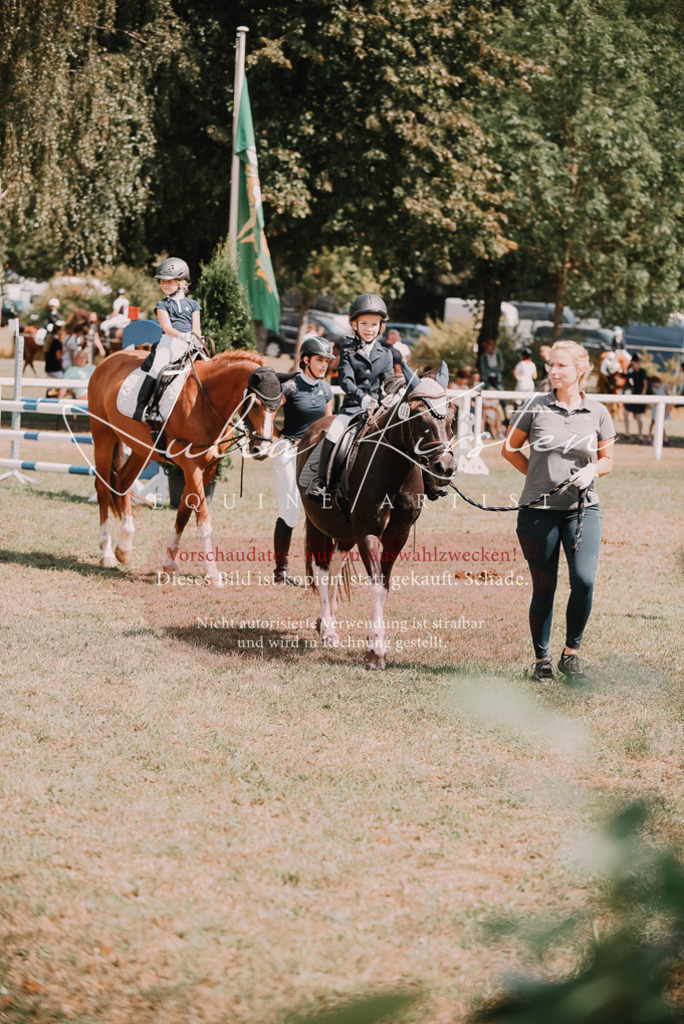 DSC_6222 | Pferde- und Turnierfotografie in Westsachsen. Pferdeportraits, Auftragszeichnungen und intuitive Kunst.