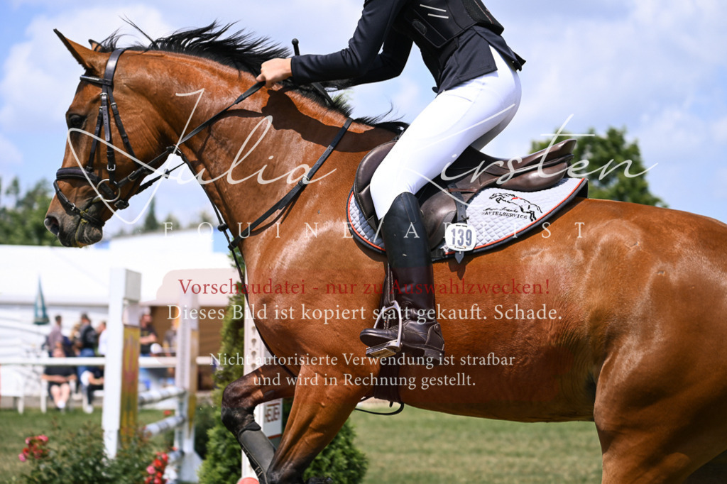DSC_9281 | Pferde- und Turnierfotografie in Westsachsen. Pferdeportraits, Auftragszeichnungen und intuitive Kunst.