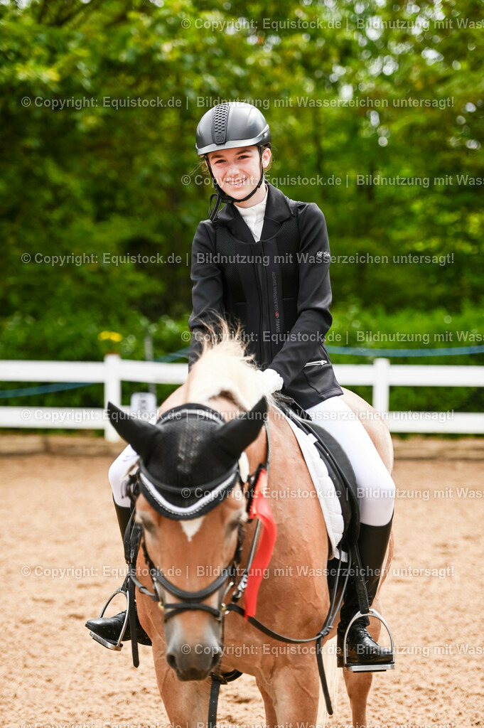 20230716_10-1_Reiter-WB Schritt - Trab - Galopp_0260 | equistock