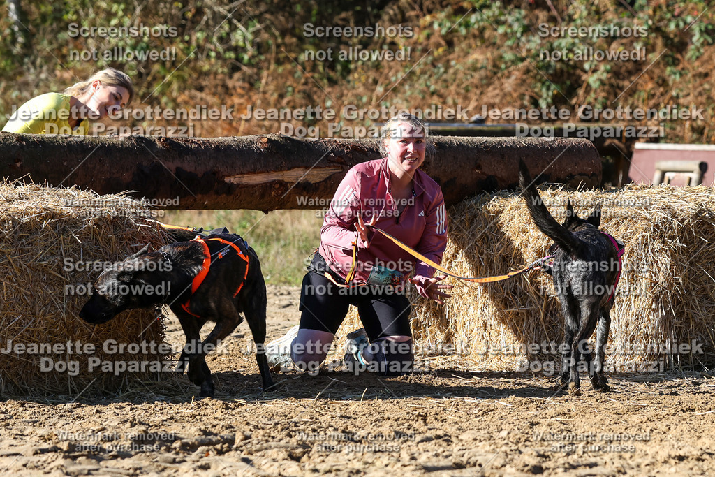 Dog Paparazzi - Strongdog 10-25-2597 | Dog Paparazzi Jeanette Grottendiek Fotografie & Videografie - Realisiert mit Pictrs.com