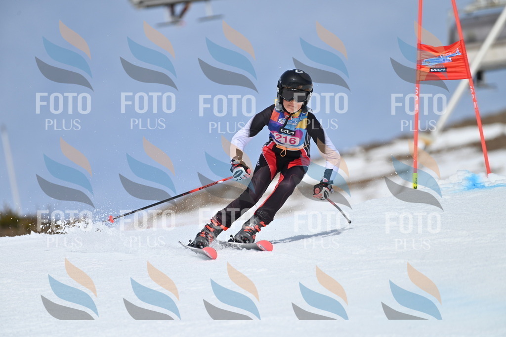 BGV_1234 | holidayphoto