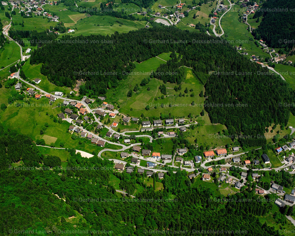 2530441 | Vordertodtmoss