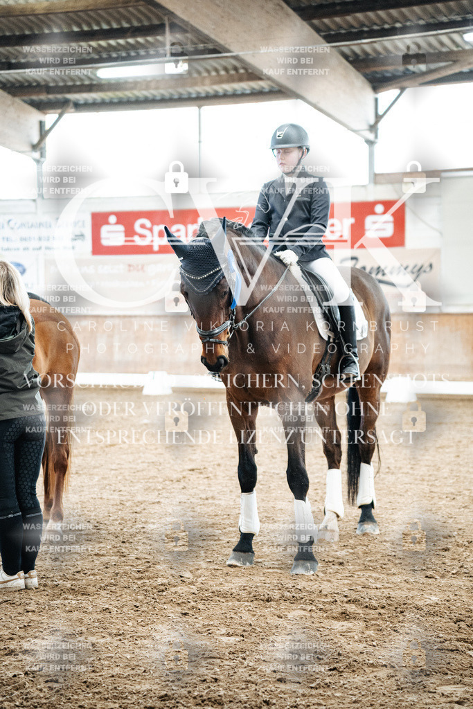 CK703034 | Turnierfotografie Pferdefotografie Trier Rheinland-Pfalz Pferdesport Reitsport Tierfotografie Sportfotografie Pferdevideo Pferdevideografie Equestrianvideography equestrianphotography  - Realized with Pictrs.com