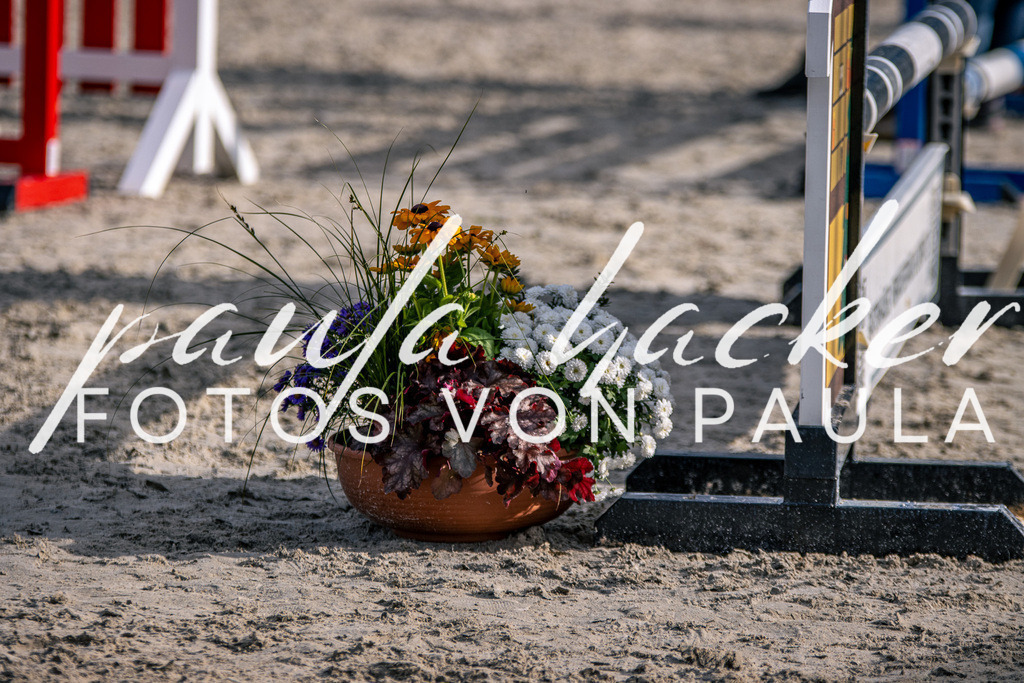 IMG_5843 | Erleben Sie dynamische Sport- und emotionale Tierfotografie in Süddeutschland mit Fotos von Paula. Spezialisiert auf Pferde- und Hundefotografie sowie Sportevents. Kontaktieren Sie mich für einzigartige und ausdrucksstarke Bilder Ihrer besonderen Momente. - Realisiert mit Pictrs.com