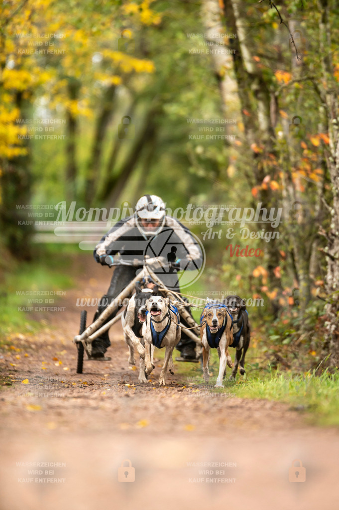 TSB_2023_E4_Kart-1 | mompixphotography