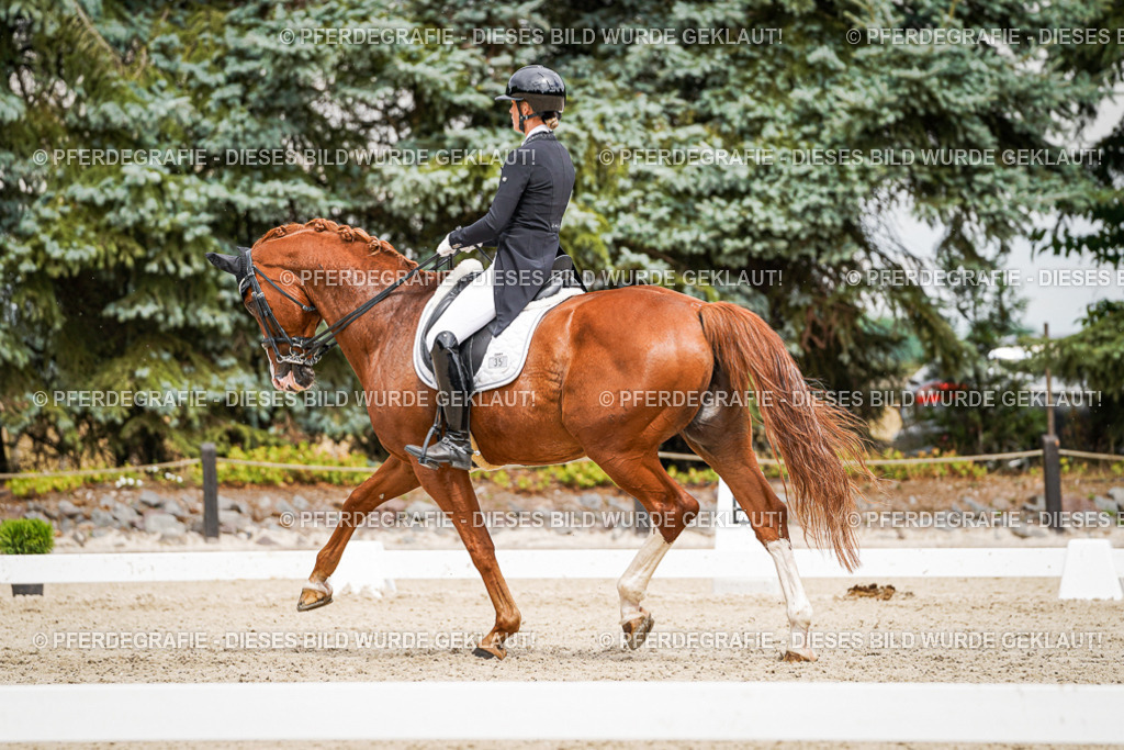 DSC05725 | Pferdegrafie