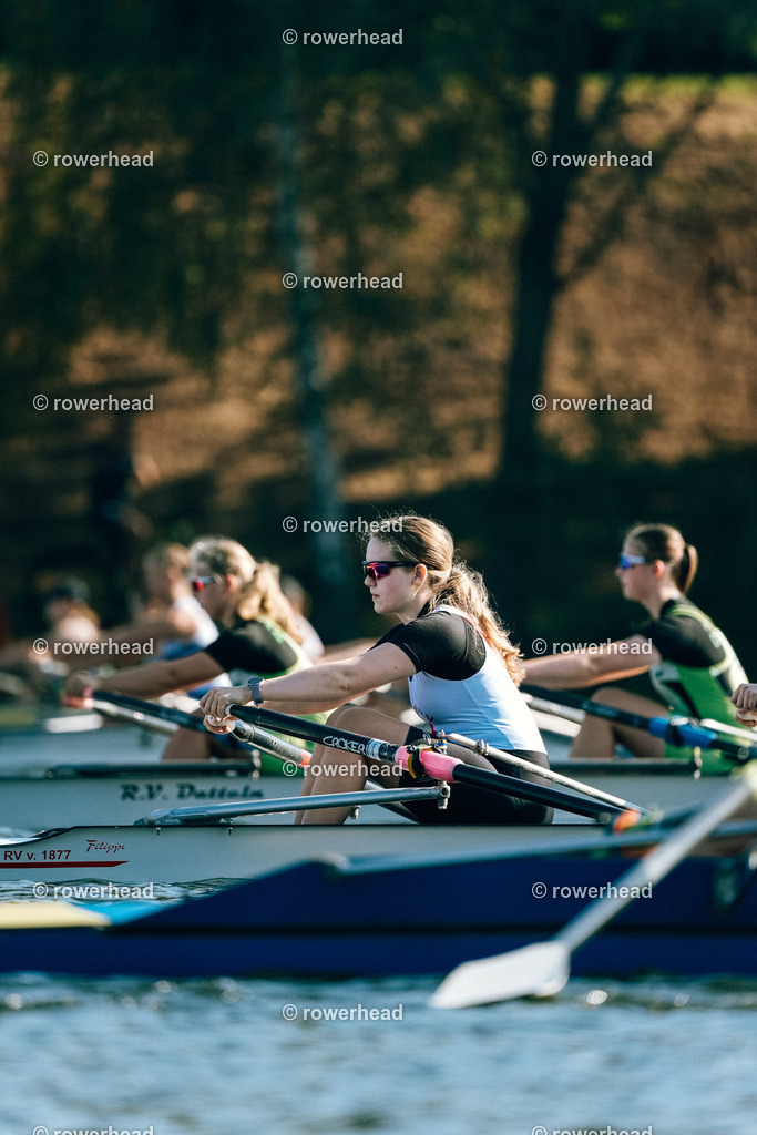 20240921_rowerhead_R11_S0020_DSC06253 | rowerhead - Realisiert mit Pictrs.com