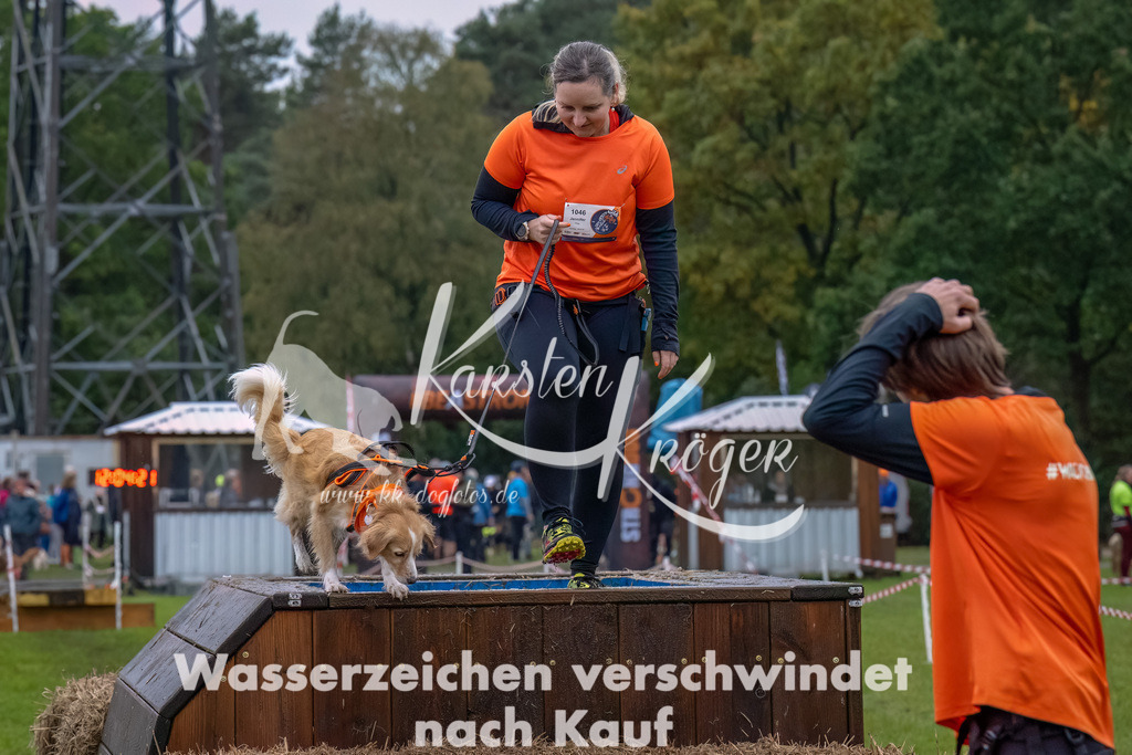 1205--8 | kk-dogfotos